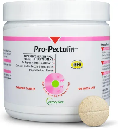 Shows the core product, a probiotic supplement for pets, with clear packaging and one tablet displayed to communicate what the buyer will receive. Displays the physical retail packaging with brand…