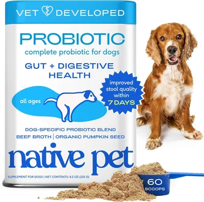 Shows the core product (probiotic supplement container) with key benefits prominently displayed to communicate its purpose for dog digestive health. Features a dog model to help shoppers visualize…