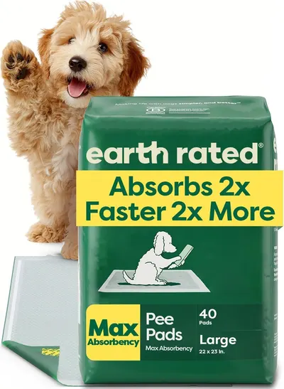 Shows the core product (pee pads) in its retail packaging with a model dog to communicate the product's superior absorbency feature and intended use for pet training. Features a dog model to…