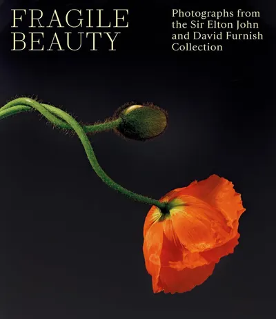 Showcases the book as a premium photography collection, emphasizing the artistic and elegant nature of the content through a striking floral image that represents the fragile beauty theme. Uses a…