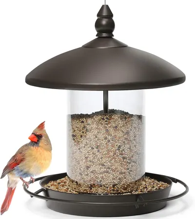 Metal Roof Bird Feeder