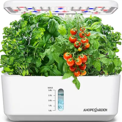 Demonstrates the product actively growing fresh herbs and tomatoes indoors, showing shoppers how the hydroponic system works with its integrated LED light and water reservoir to produce real…