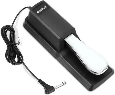 Shows the core product clearly on a white background, allowing shoppers to see the pedal design, brand name, and included cable connection.