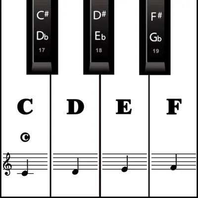 Shows piano key labels with musical notation to help beginners learn piano keys and their corresponding notes on the staff.