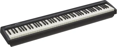 Displays the complete digital piano keyboard in a clean catalog style to show the full-size design and professional appearance of the instrument.