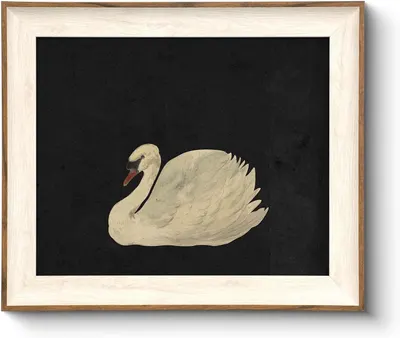 Displays the core product—a framed art print featuring a swan illustration on a dark background—to show shoppers exactly what they will receive. Uses a black background to create dramatic contrast…