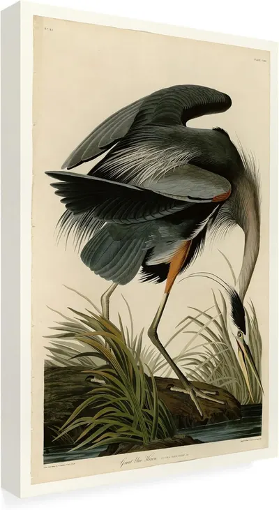 Displays the core product—a canvas print of a vintage heron illustration—clearly showing the artwork, canvas depth, and overall presentation to help shoppers visualize it as wall decor. Uses a drop…