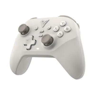 Displays the core gaming controller product in a clean, catalog-style presentation to show shoppers exactly what they will receive. Uses a subtle drop shadow to ground the controller and give it…