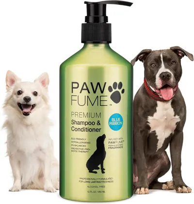 Displays the core product, a premium dog shampoo and conditioner bottle, clearly showing the brand, product type, and key features to help shoppers identify…