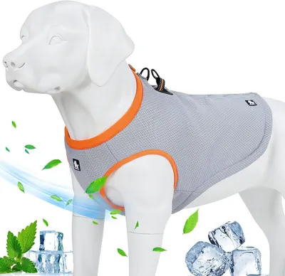 Shows the core product, a gray cooling vest with orange trim designed for dogs, displayed on a model to demonstrate fit and appearance. Uses added visual elements including ice cubes, mint leaves,…