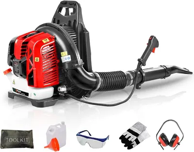 Displays the core product, a backpack-style leaf blower with red engine housing and black hose, clearly showing its design and construction to help shoppers…