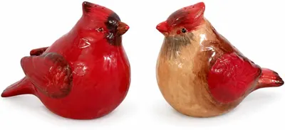 Displays the core product—two decorative cardinal bird figurines in different color variations—clearly on a white background to show the product details and…