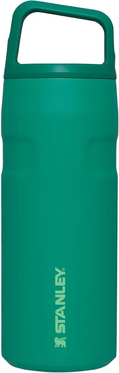 Shows the Stanley water bottle clearly on a white background to give shoppers a clean, catalog-style view of the product they are purchasing.