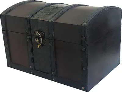 Shows the core treasure chest clearly so shoppers can see its dome lid, faux crocodile leather accents, and antique brass latch. Grounds the chest with a subtle shadow on a light background, giving…