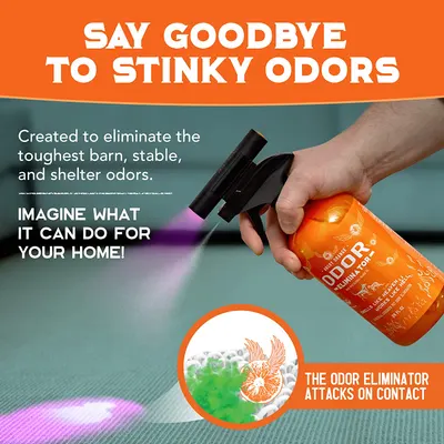 Secondary Images for ANGRY ORANGE INF PET 2