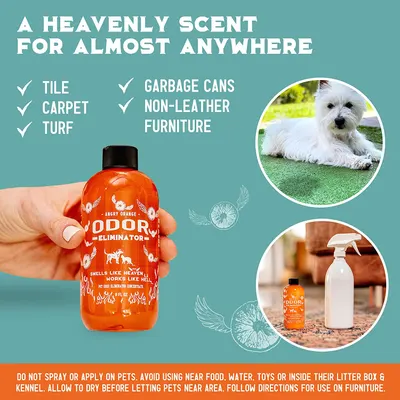 Secondary Images for ANGRY ORANGE INF PET 3