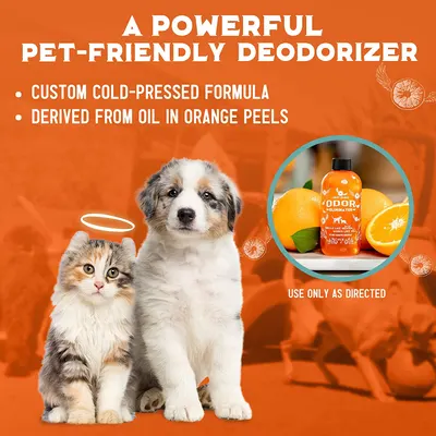 Secondary Images for ANGRY ORANGE INF PET 5