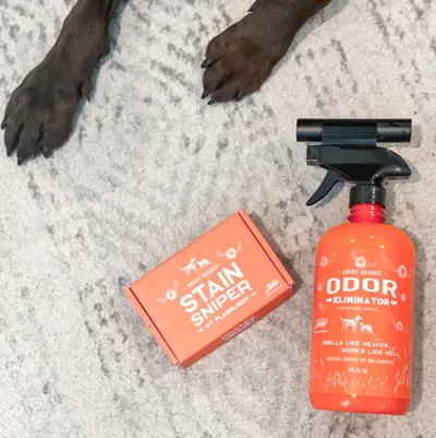 Lifestyle Images for ANGRY ORANGE LIF PET 11
