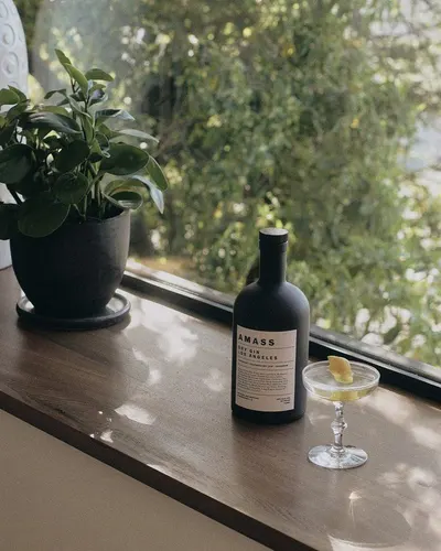 Lifestyle Images for Amass 11