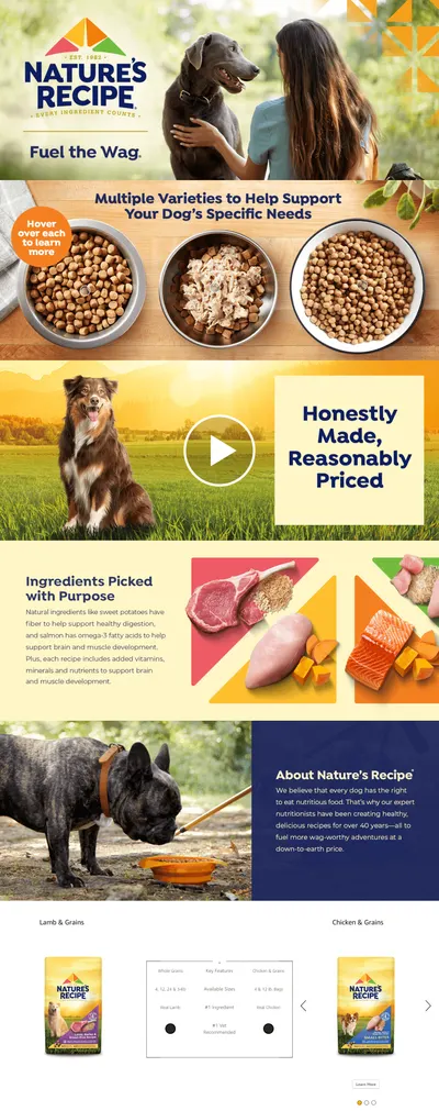 Premium A+ Content for Amazon.com  Nature’s Recipe Adult Dry Dog Food