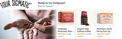 Sponsored Brands Ads for Amazon.com   the last of us