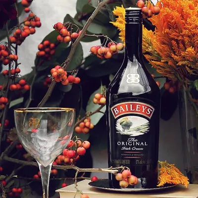Lifestyle Images for Baileys 19