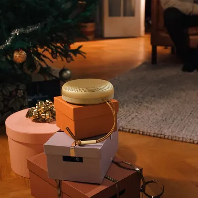 Secondary Images for Bang &amp; Olufsen 21