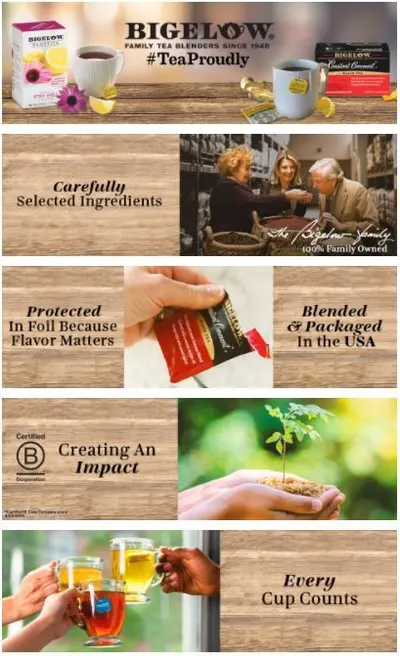 Basic A+ Content for Bigelow 1