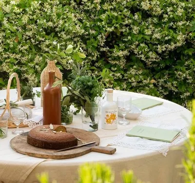 Lifestyle Images for Brightland 2