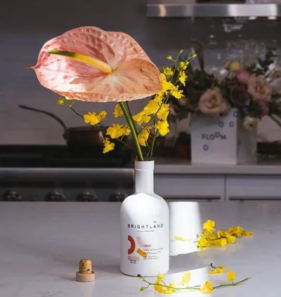 Lifestyle Images for Brightland 5