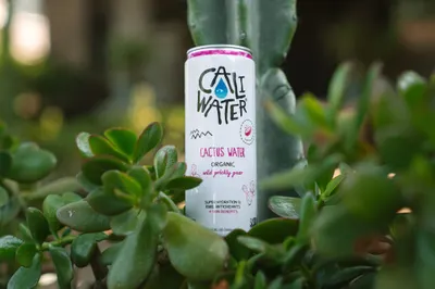 Lifestyle Images for Caliwater 11