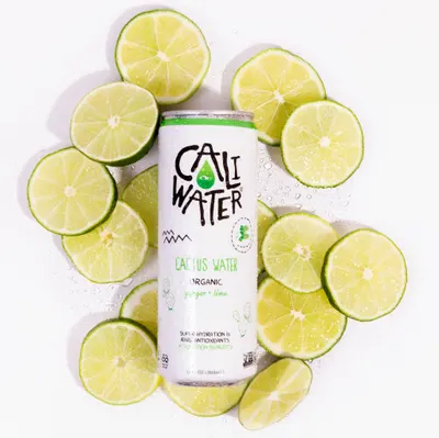 Lifestyle Images for Caliwater 47