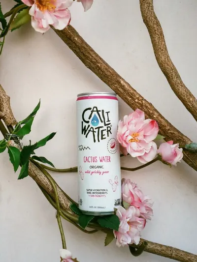 Lifestyle Images for Caliwater 51