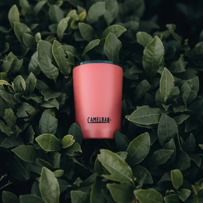 Secondary Images for CamelBak 8