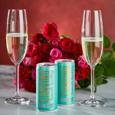 Lifestyle Images for Canvino 10