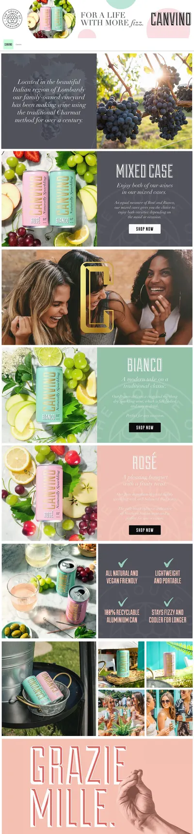 Brand Store for Canvino 16