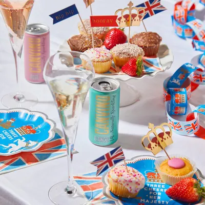 Lifestyle Images for Canvino 6