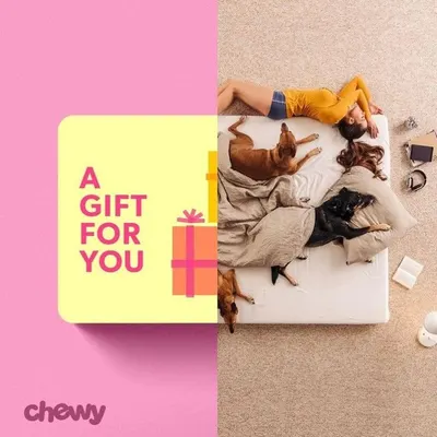 Secondary Images for Chewy 12