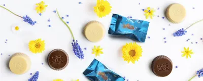 Basic A+ Content for ChocZero 50