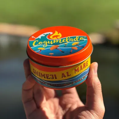 Lifestyle Images for Cogumelado 2