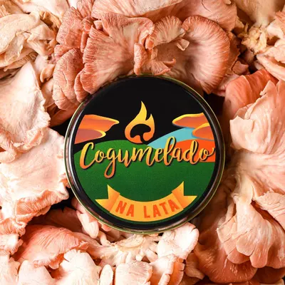 Lifestyle Images for Cogumelado 7