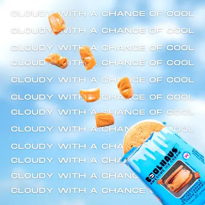 Secondary Images for Coolhaus 22