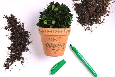 Lifestyle Images for Crayola 7