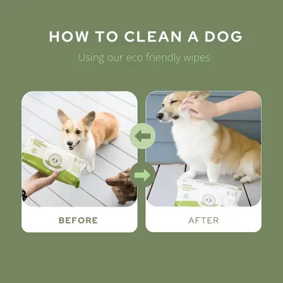 Secondary Images for DOGGY DO GOOD INF PET 4