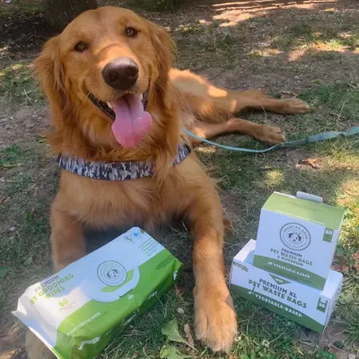 Lifestyle Images for DOGGY DO GOOD LIF PET 1