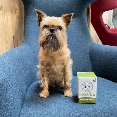 Lifestyle Images for DOGGY DO GOOD LIF PET 2