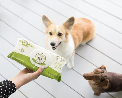 Lifestyle Images for DOGGY DO GOOD LIF PET 5