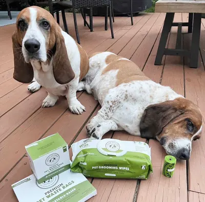 Lifestyle Images for DOGGY DO GOOD LIF PET 8