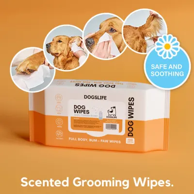 Secondary Images for DOGSLIFE INF PET 10