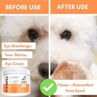 Secondary Images for DOGSLIFE INF PET 5
